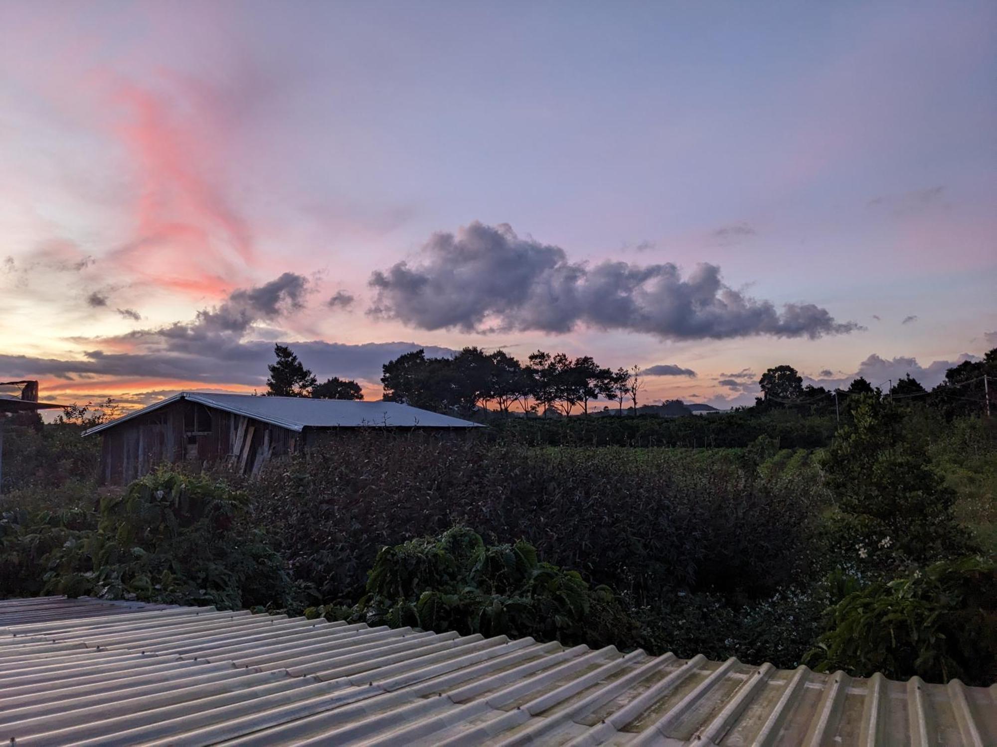 Ivy Coffee Farm - Garden House Apartment Duc Trong Room photo