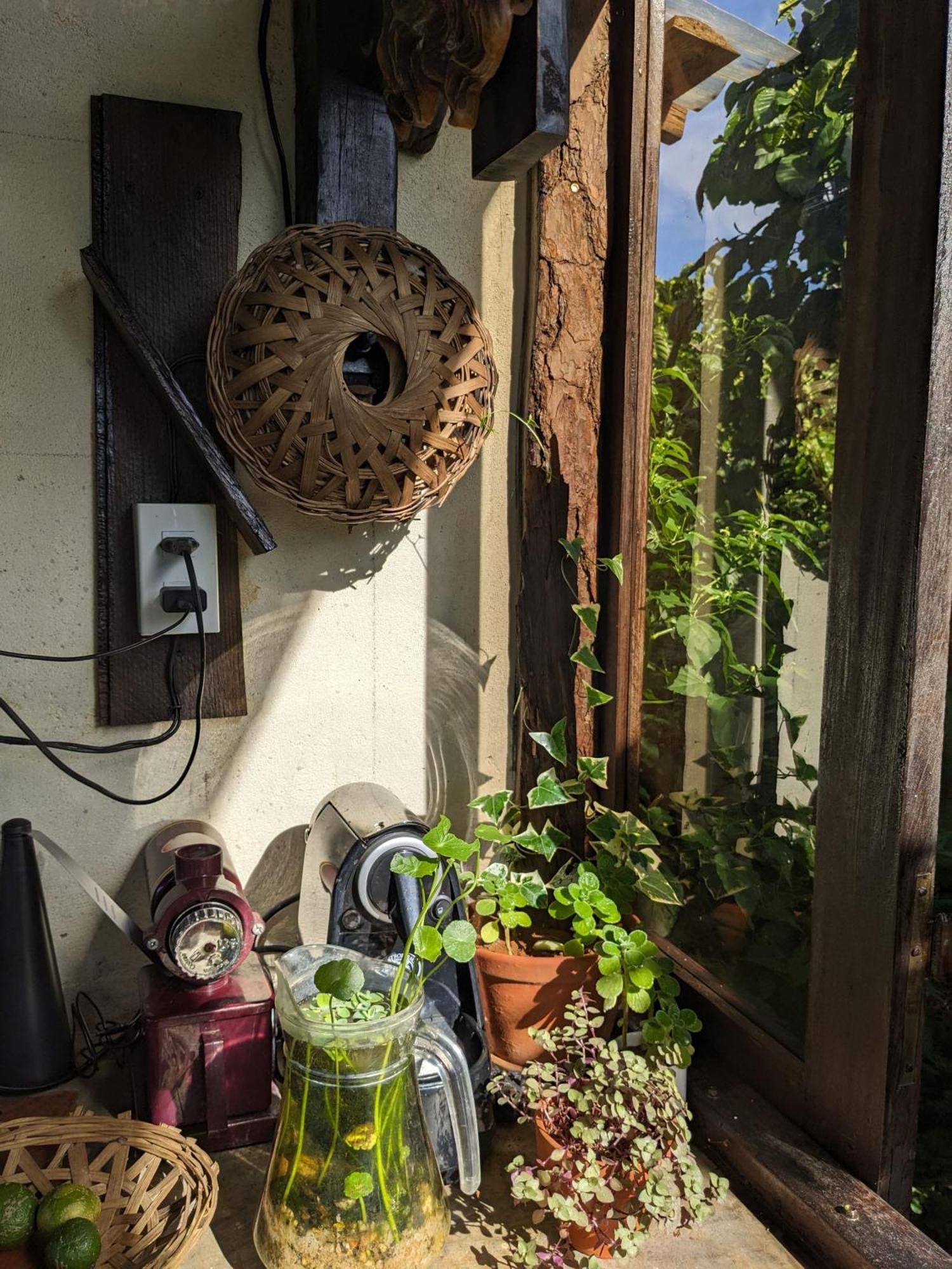 Ivy Coffee Farm - Garden House Apartment Duc Trong Exterior photo